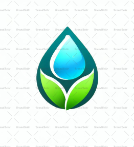 Wassertropfen und Blatt